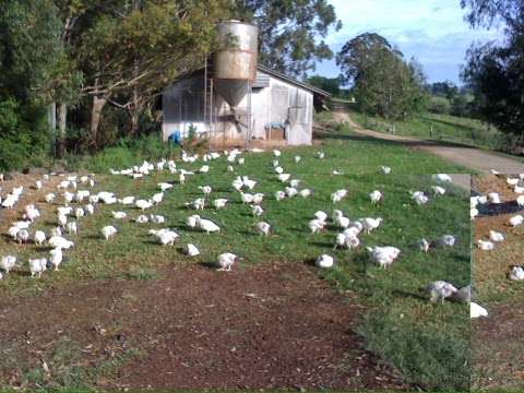 Photo: Alstonville Poultry Farm